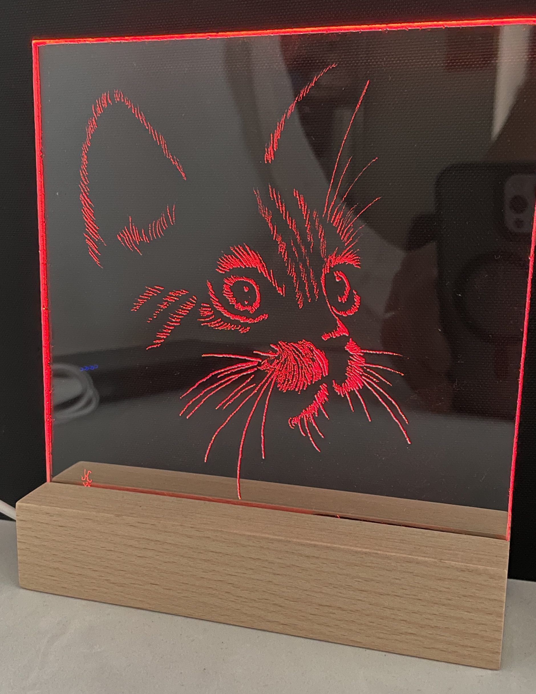 cat