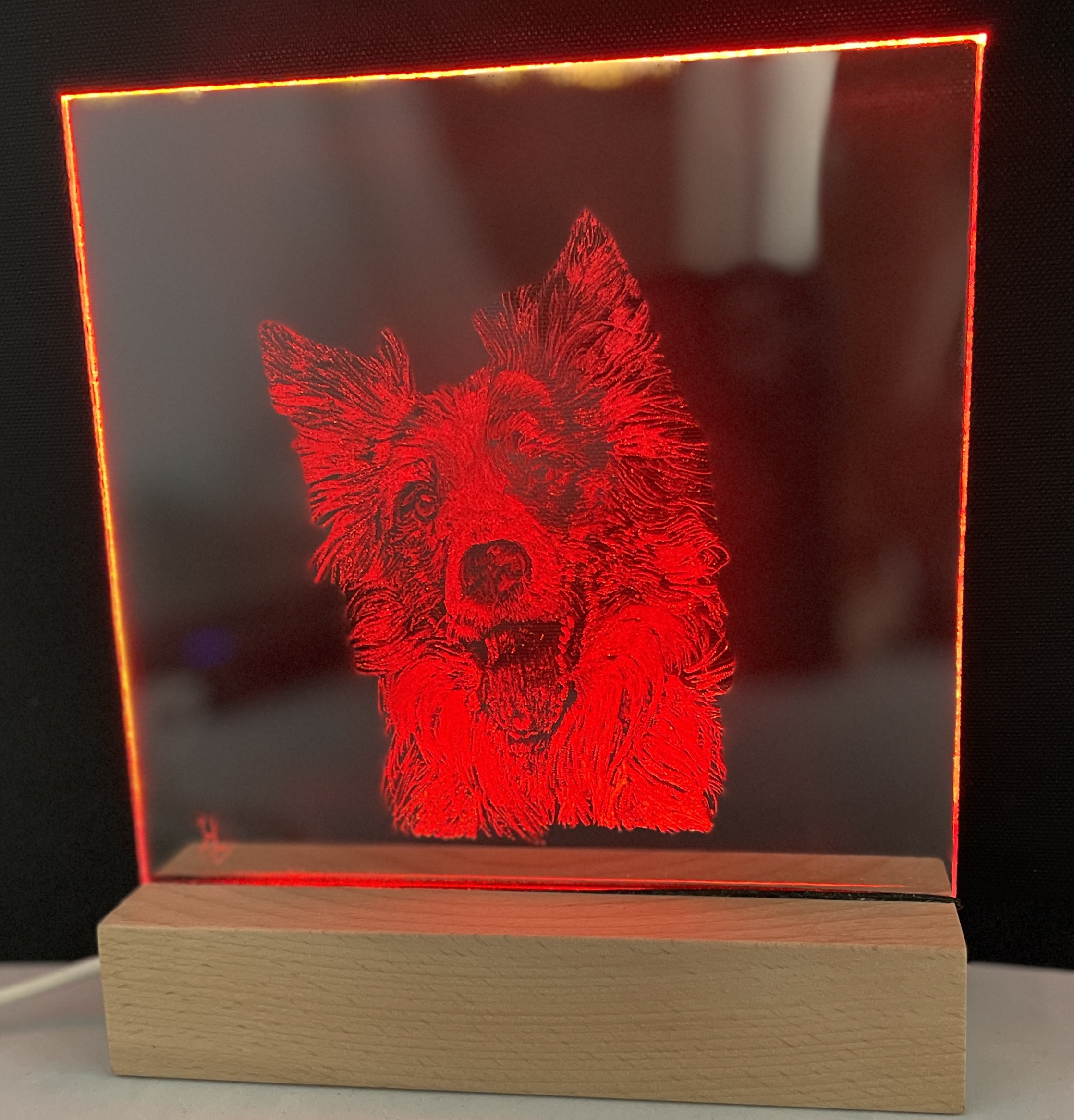 dog